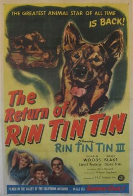  The Last Warning! A Thrilling Silent Film Mystery Starring Rin Tin Tin